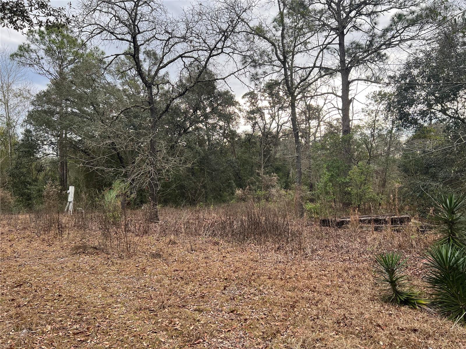 Listing photo id 11 for 20140 27th Street