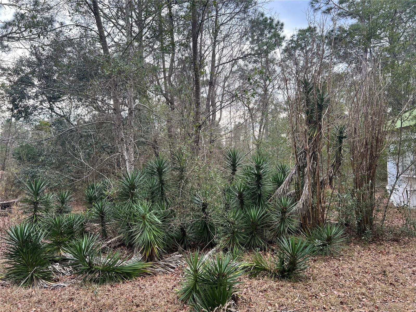 Listing photo id 12 for 20140 27th Street