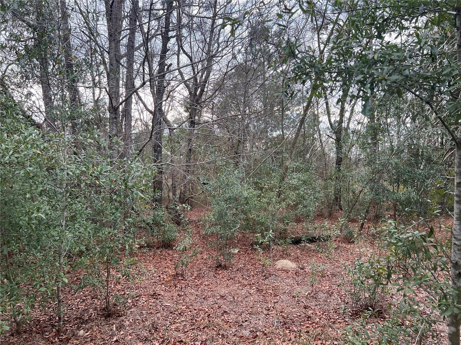 Listing photo id 14 for 20140 27th Street