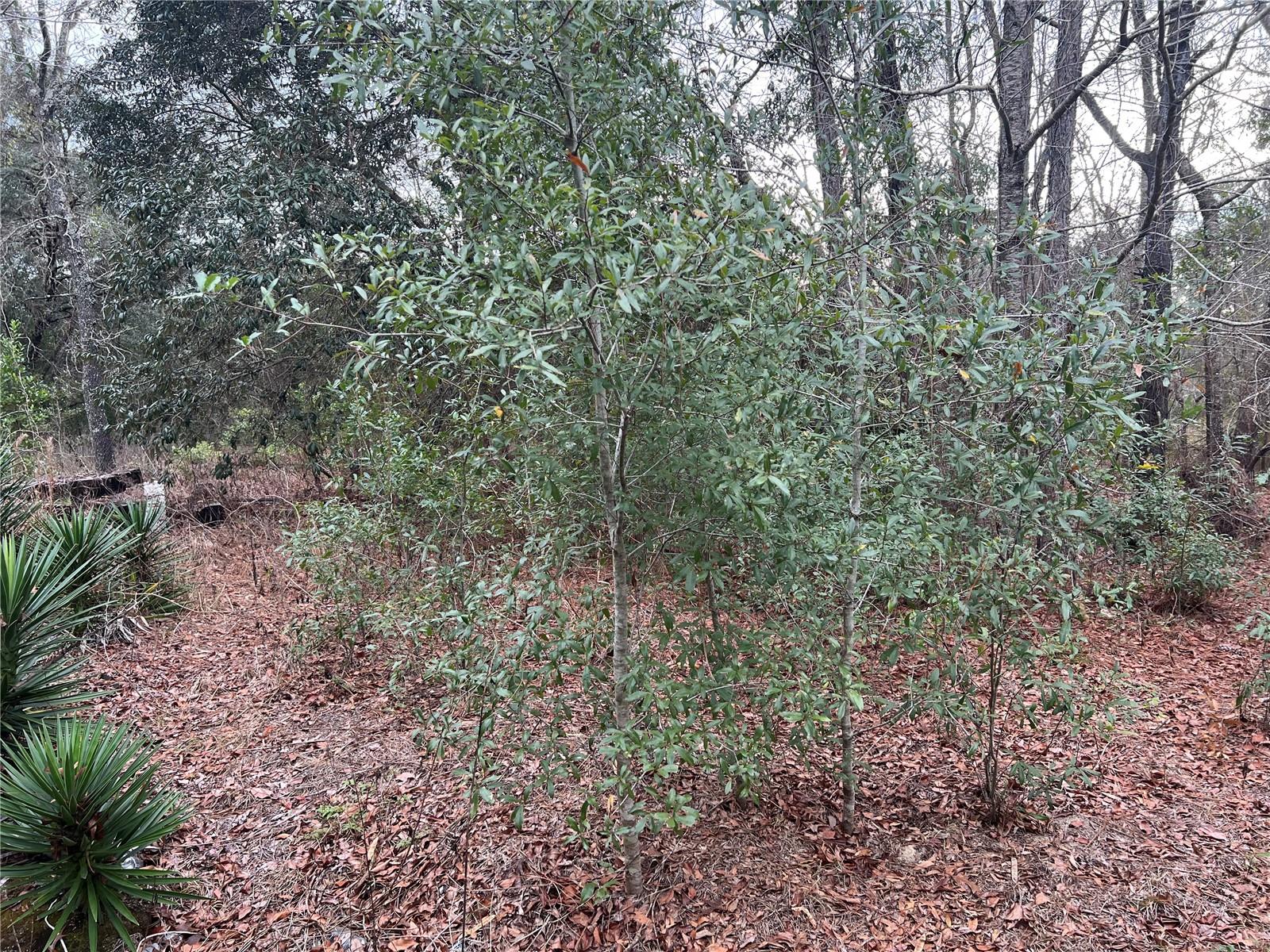 Listing photo id 15 for 20140 27th Street