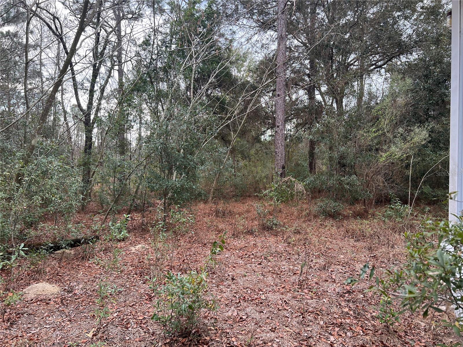 Listing photo id 16 for 20140 27th Street