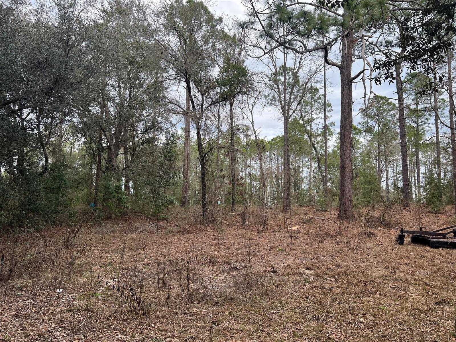 Listing photo id 1 for 20140 27th Street