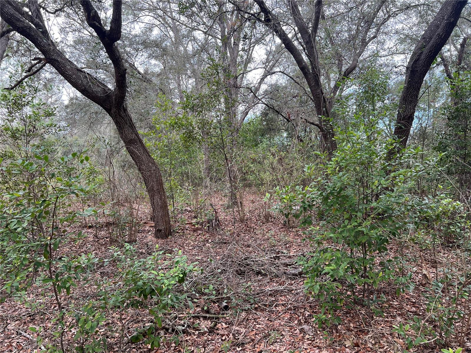 Listing photo id 33 for 20140 27th Street