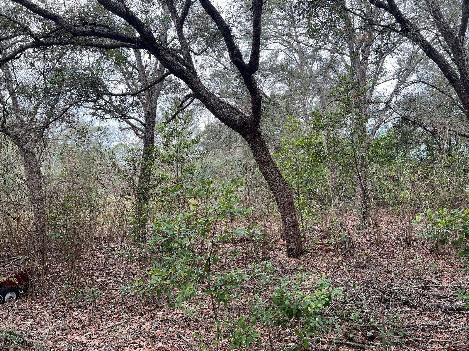 Listing photo id 35 for 20140 27th Street