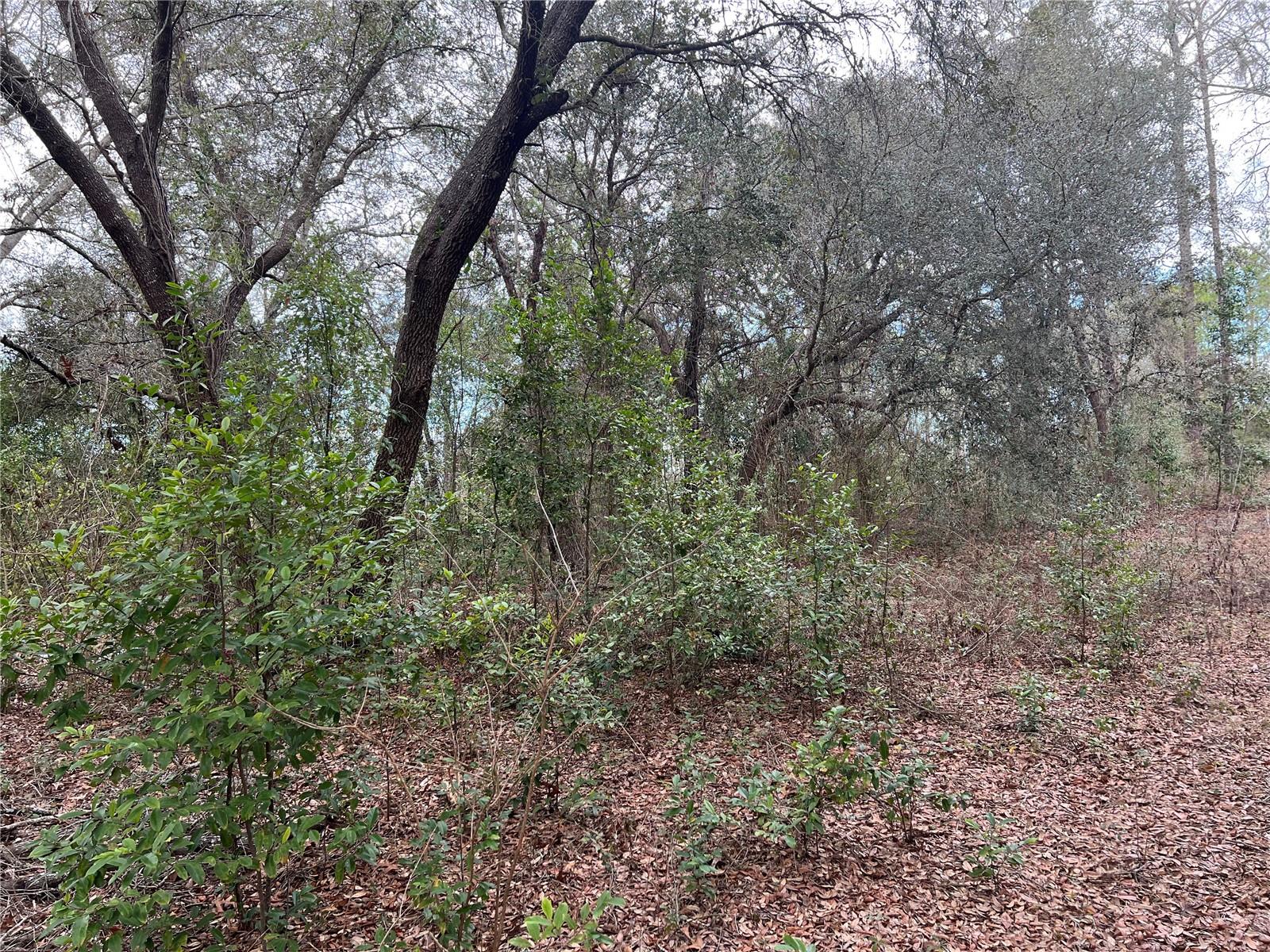 Listing photo id 36 for 20140 27th Street