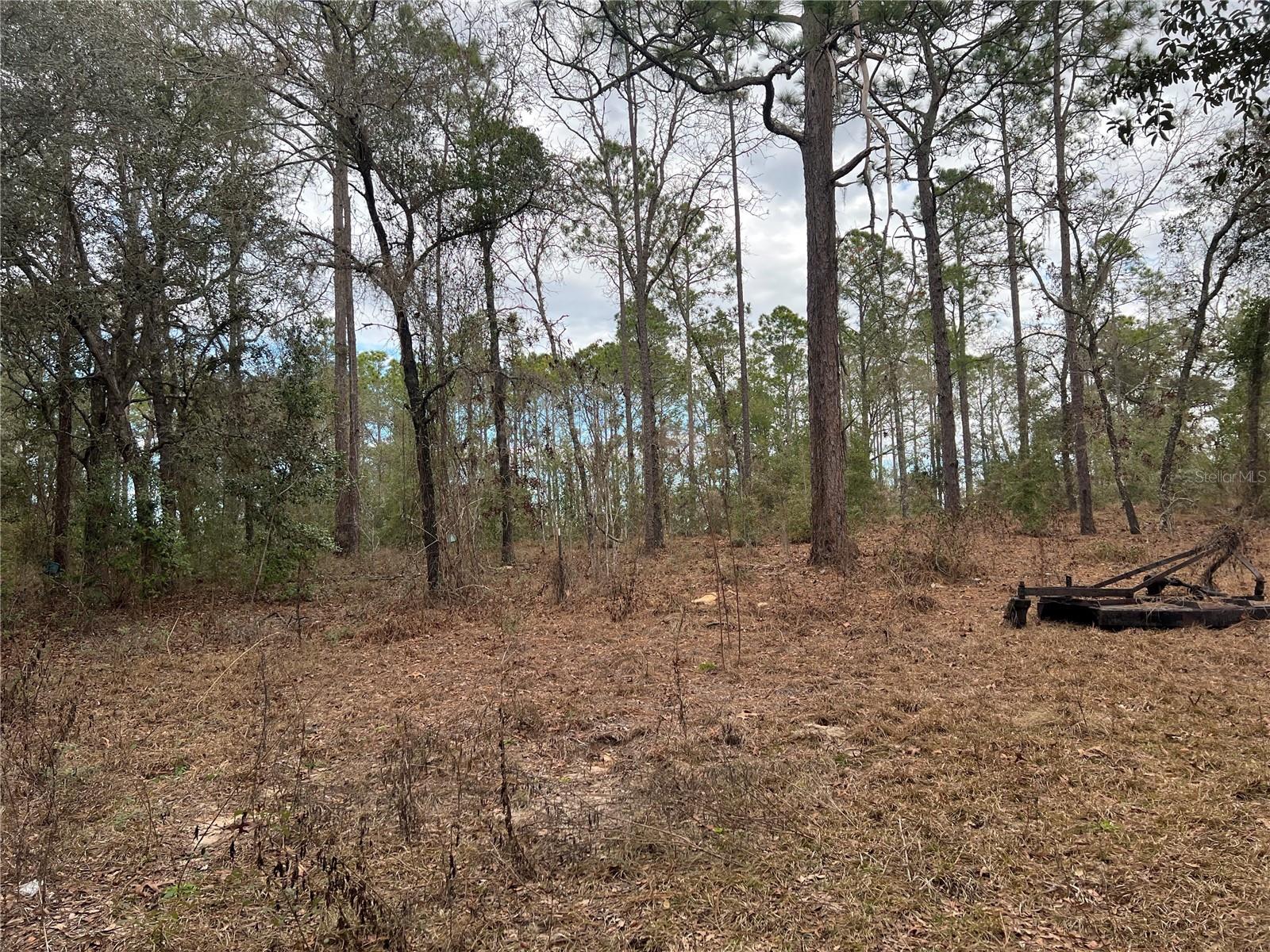 Listing photo id 37 for 20140 27th Street