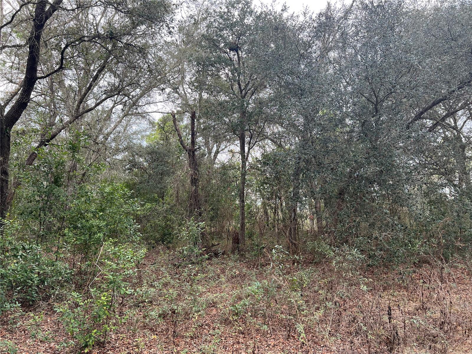 Listing photo id 2 for 20140 27th Street