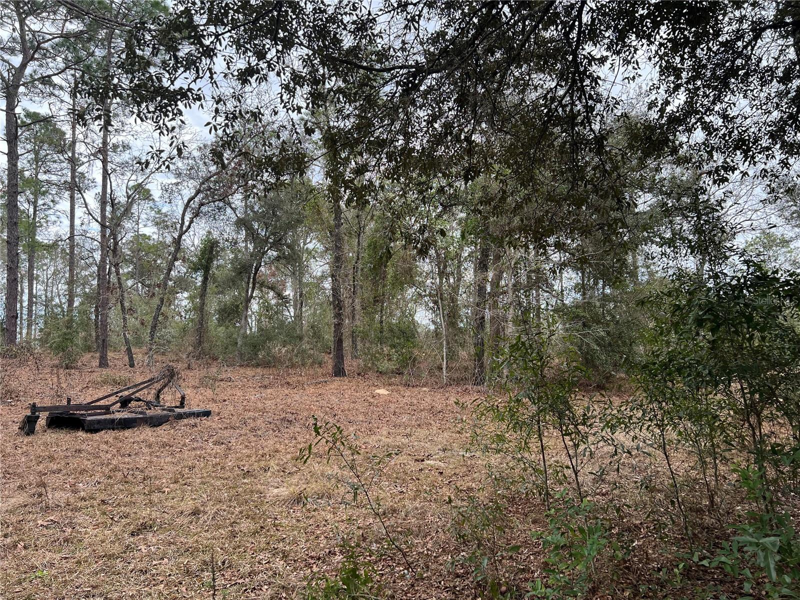 Listing photo id 38 for 20140 27th Street