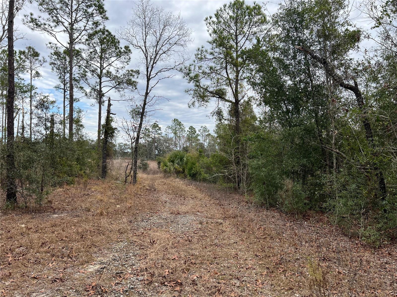 Listing photo id 39 for 20140 27th Street