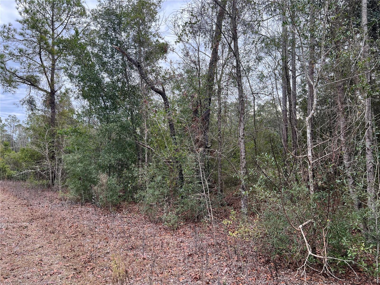 Listing photo id 40 for 20140 27th Street