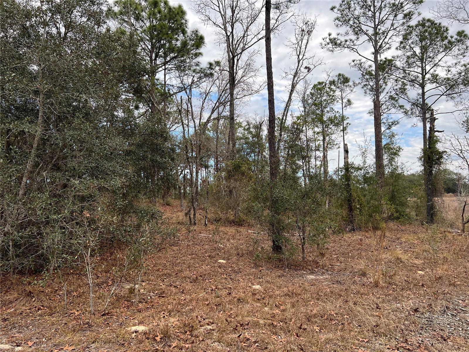 Listing photo id 41 for 20140 27th Street