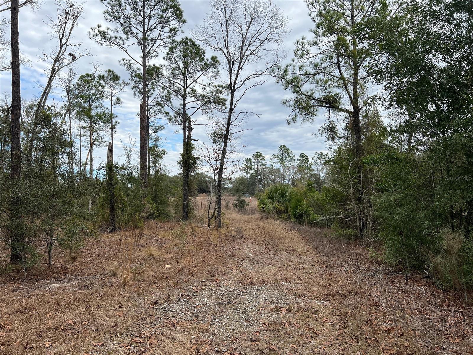 Listing photo id 43 for 20140 27th Street