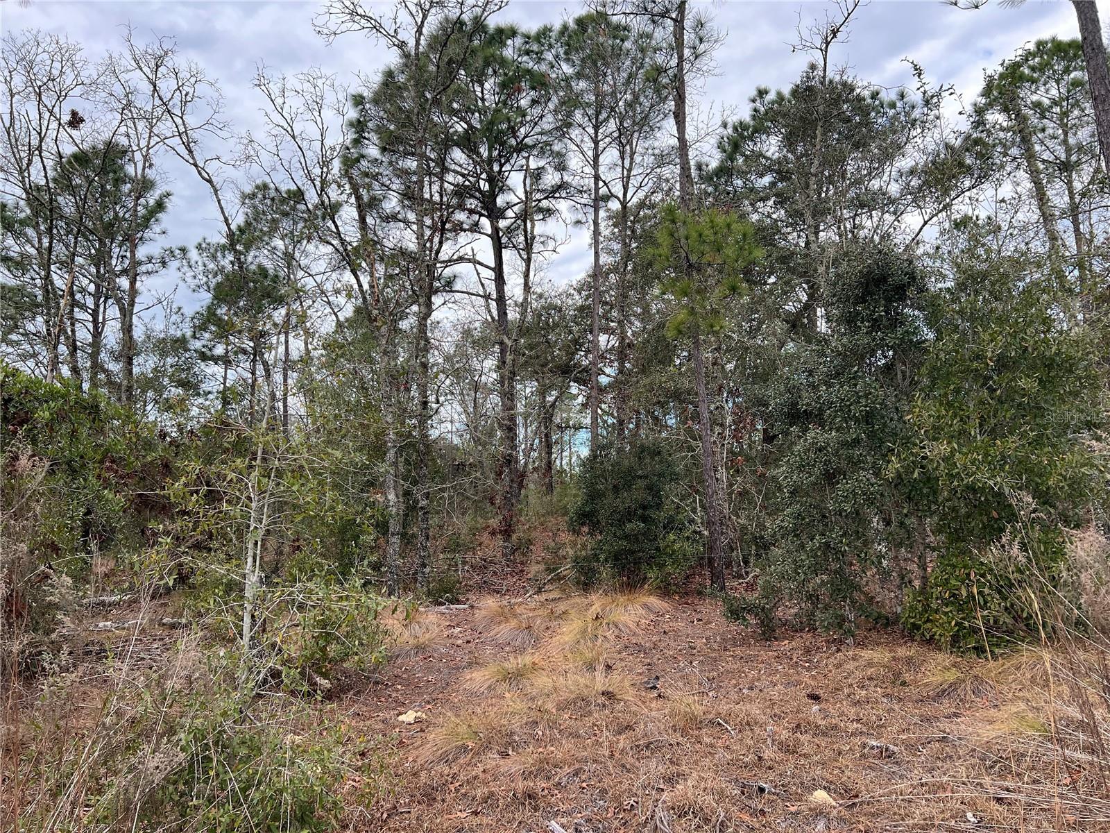 Listing photo id 46 for 20140 27th Street