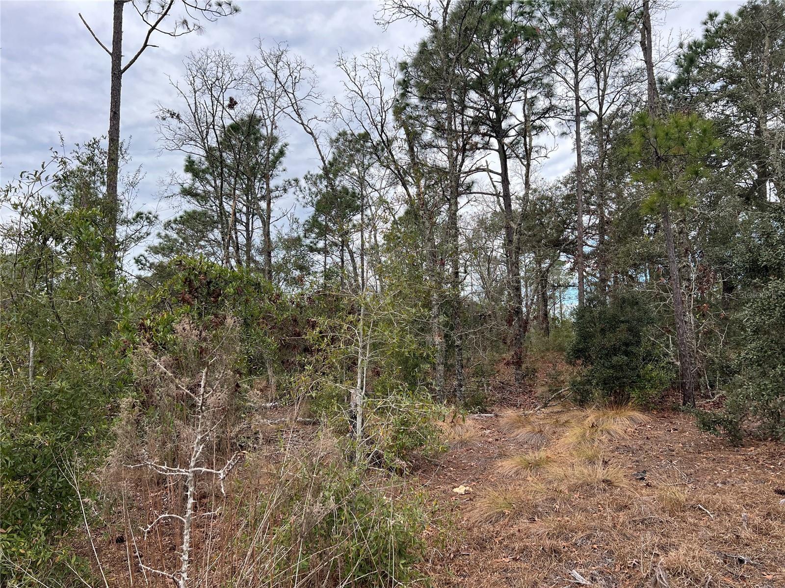 Listing photo id 47 for 20140 27th Street