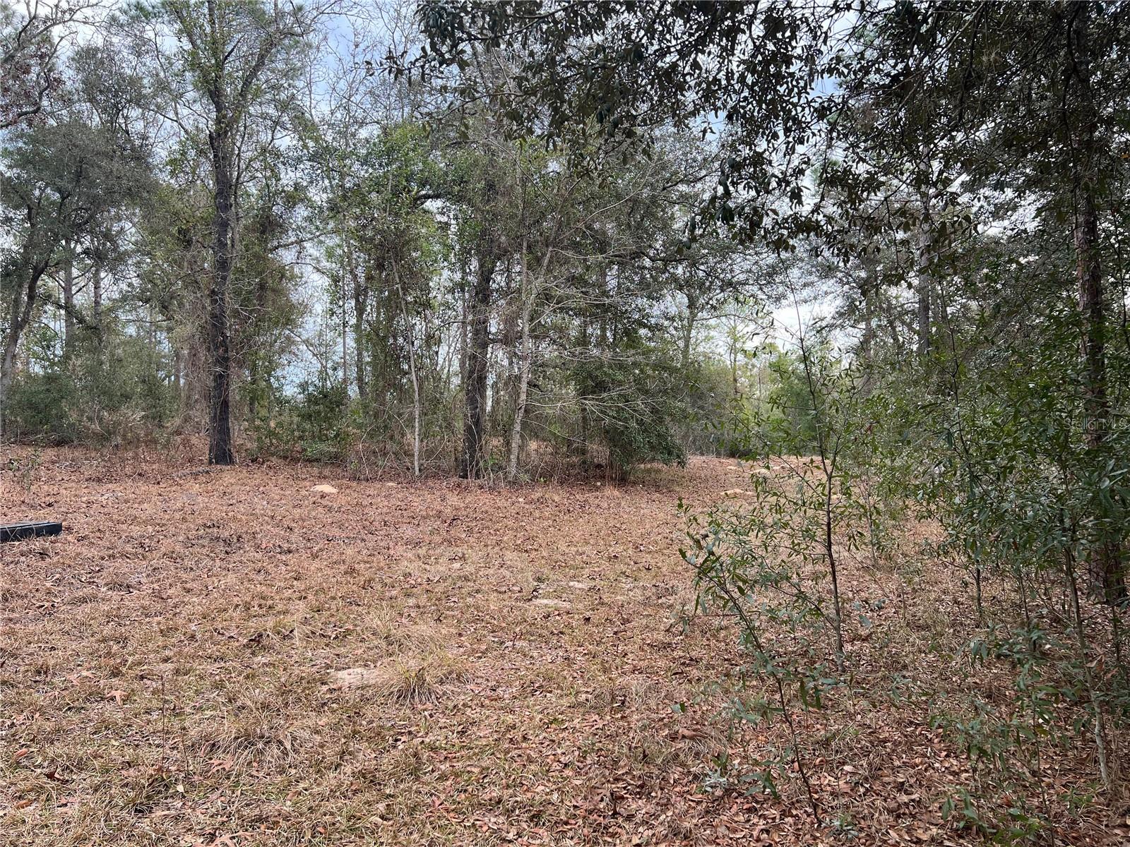 Listing photo id 3 for 20140 27th Street