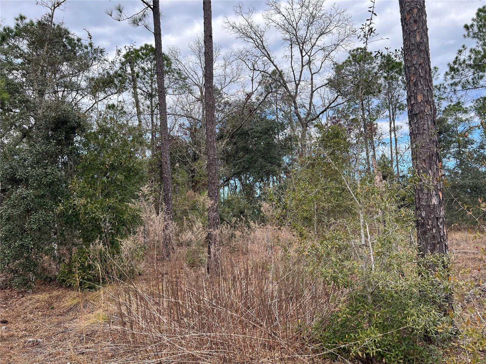 Listing photo id 49 for 20140 27th Street