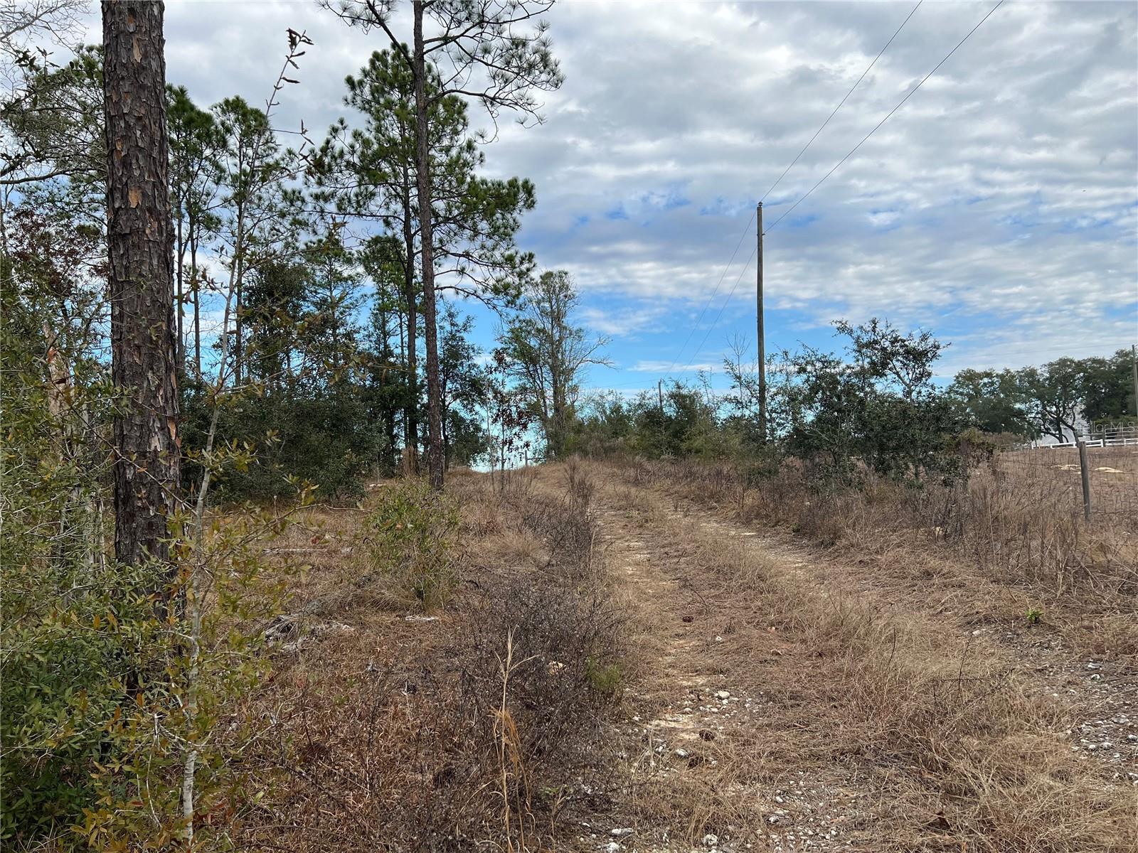 Listing photo id 50 for 20140 27th Street