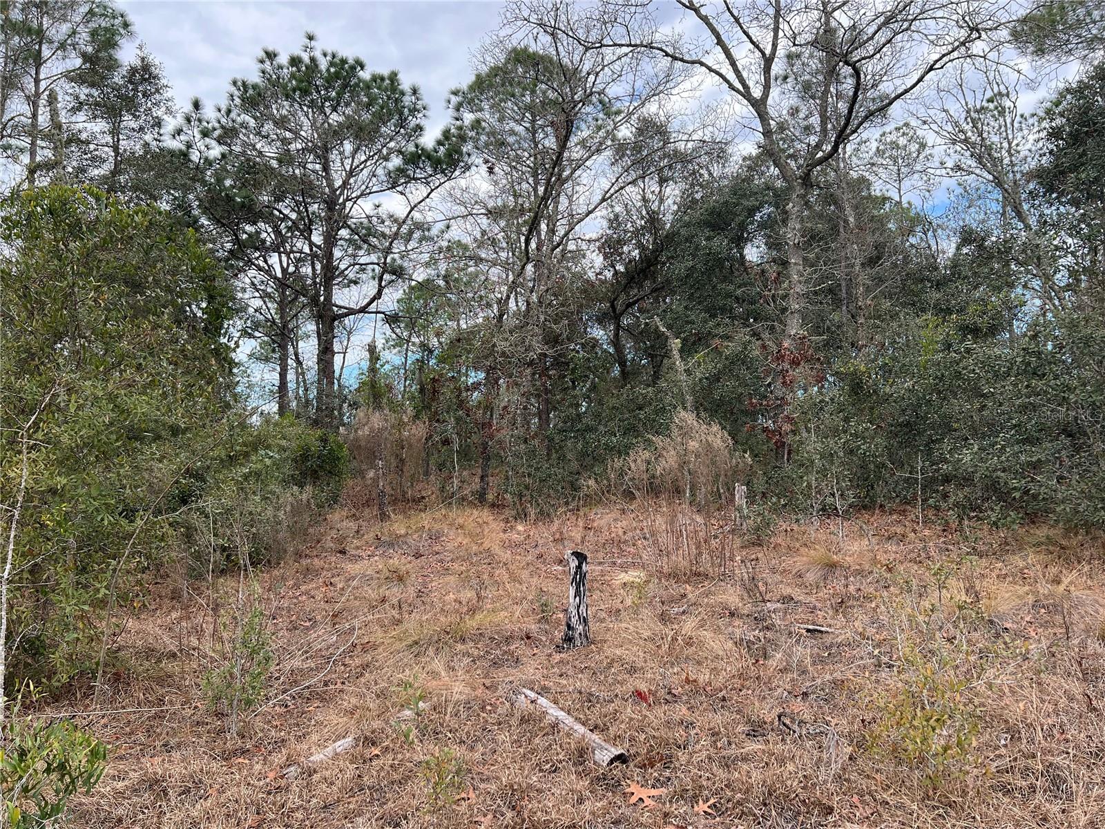 Listing photo id 51 for 20140 27th Street