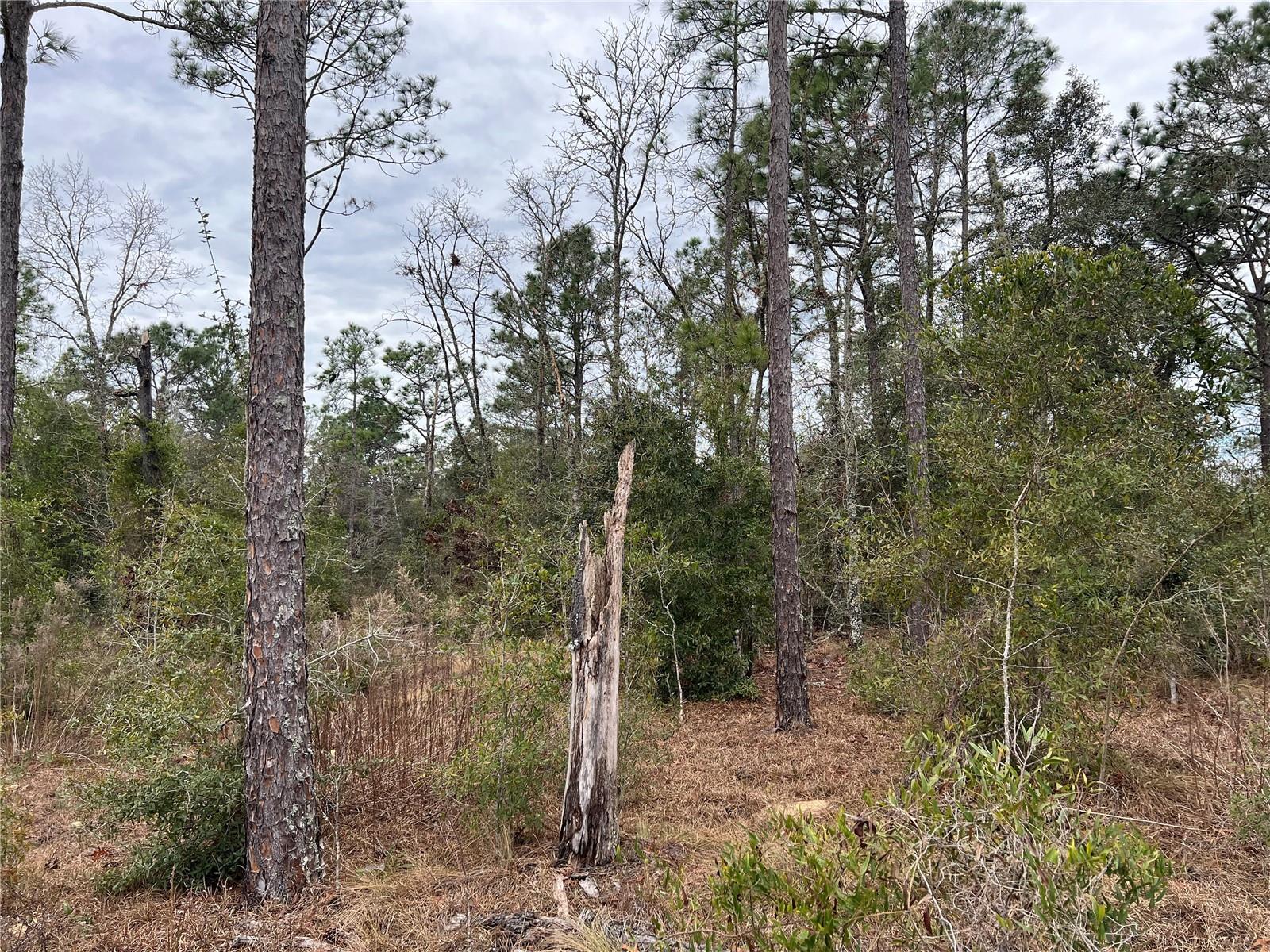 Listing photo id 53 for 20140 27th Street