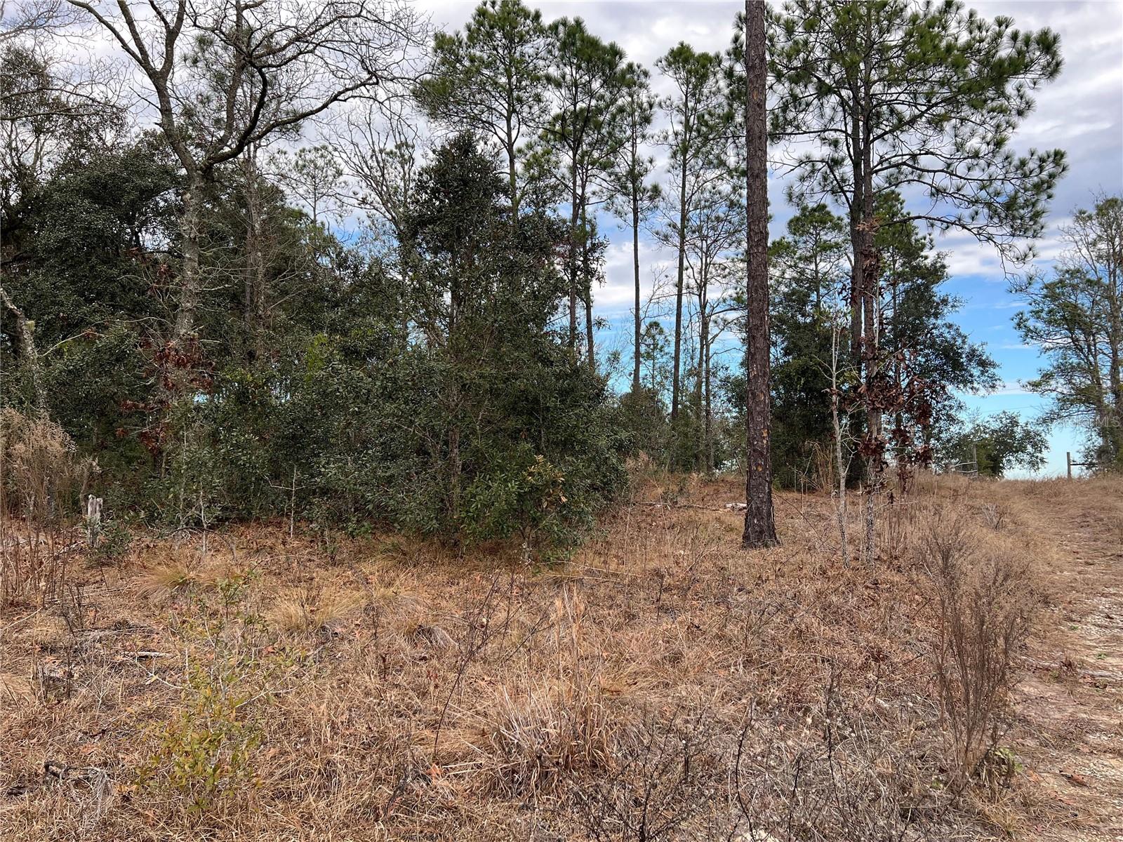 Listing photo id 54 for 20140 27th Street