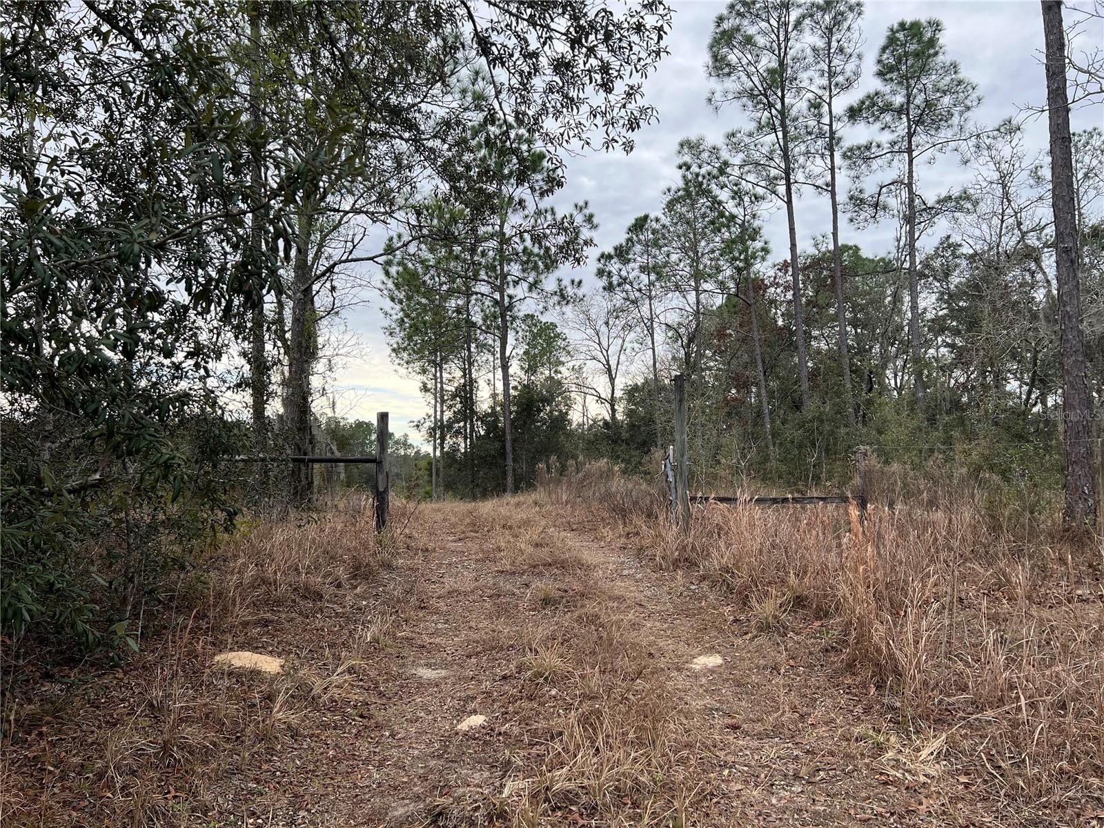 Listing photo id 55 for 20140 27th Street