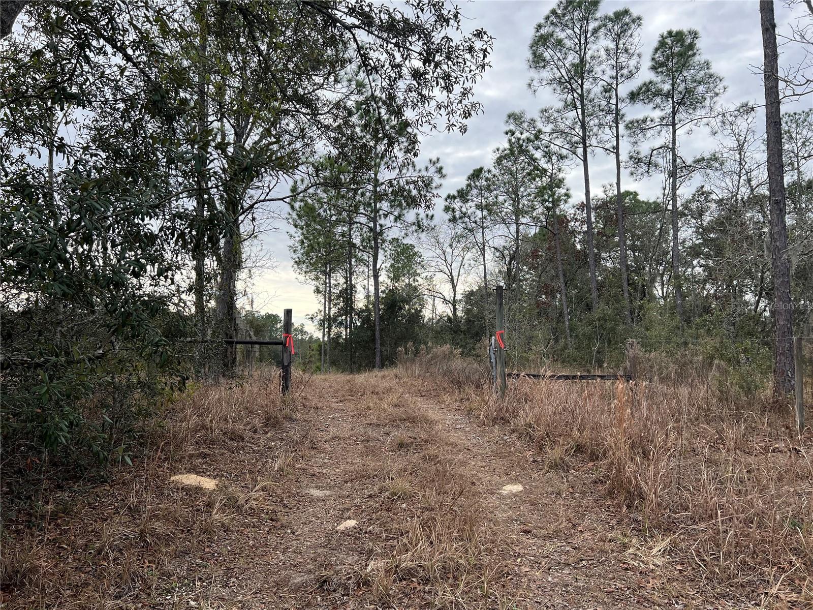 Listing photo id 62 for 20140 27th Street