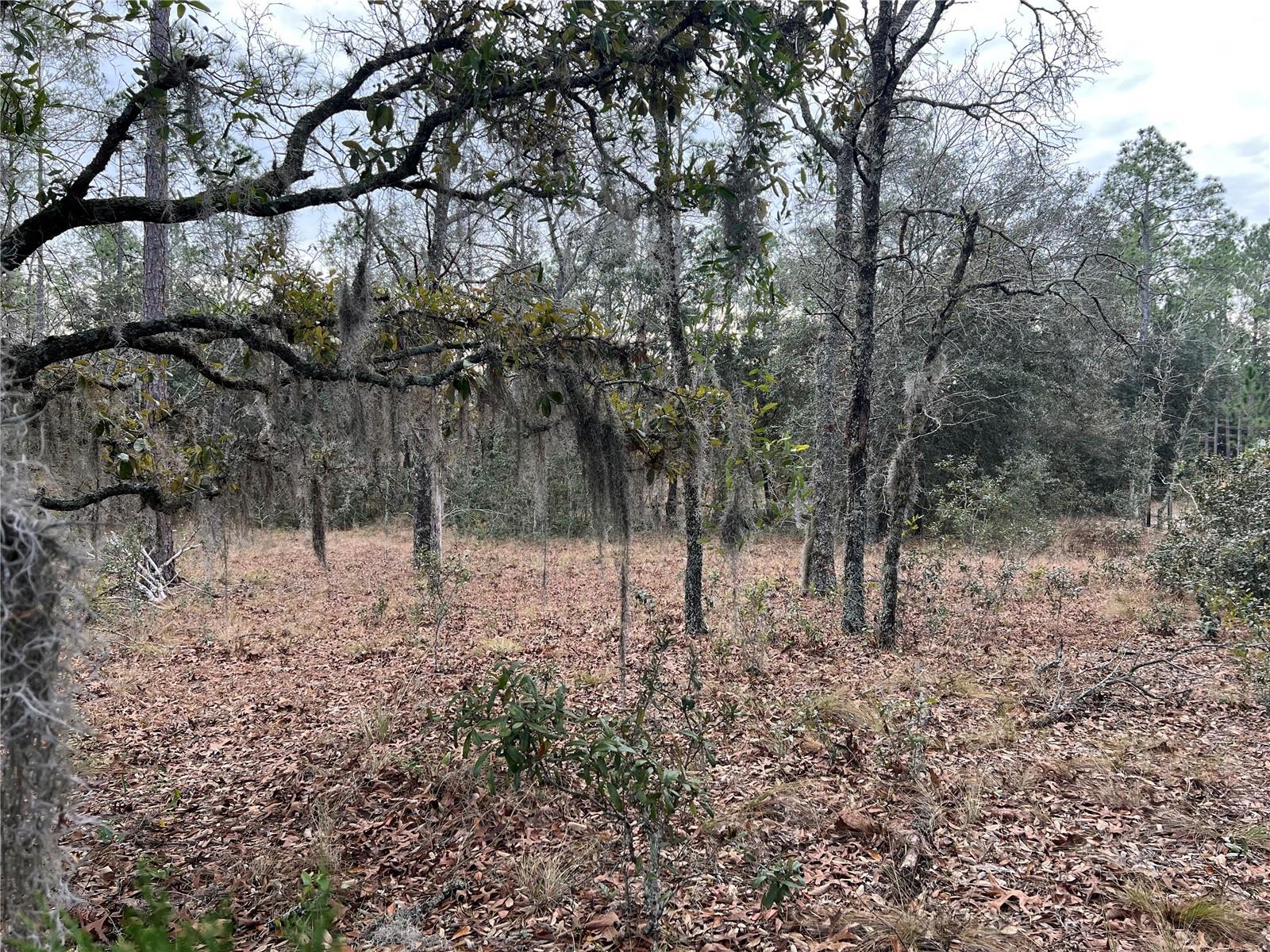 Listing photo id 63 for 20140 27th Street