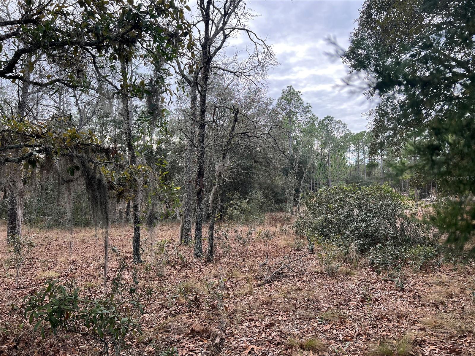 Listing photo id 64 for 20140 27th Street