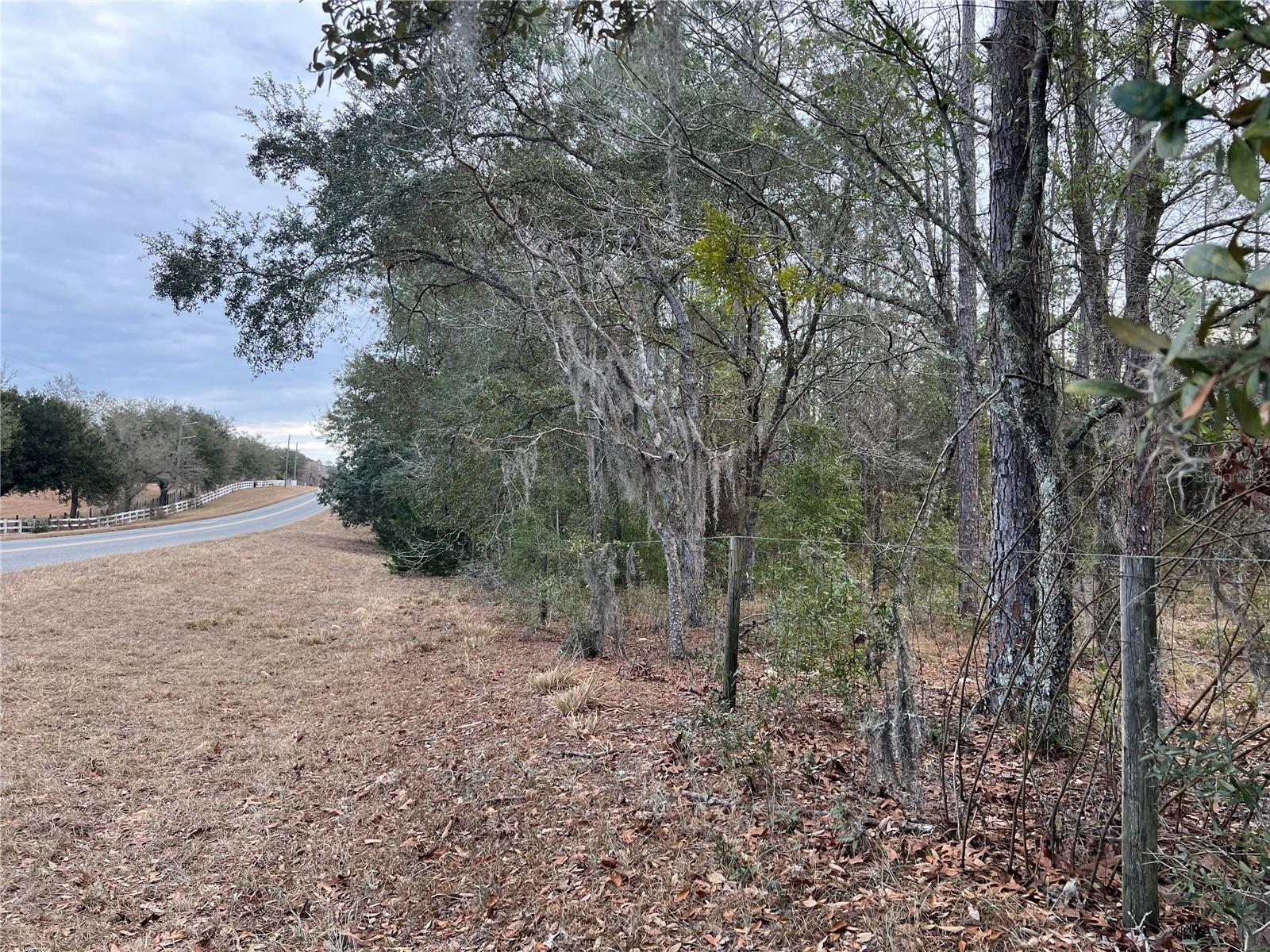 Listing photo id 65 for 20140 27th Street