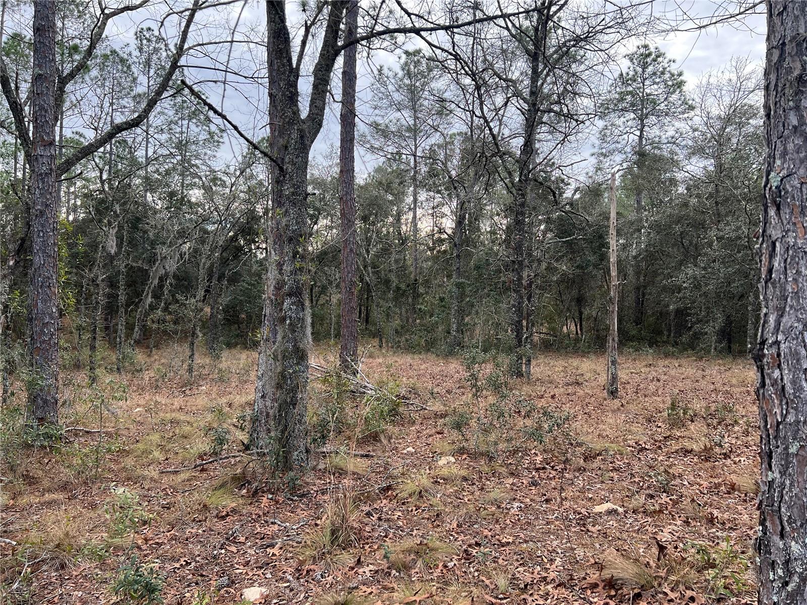 Listing photo id 66 for 20140 27th Street