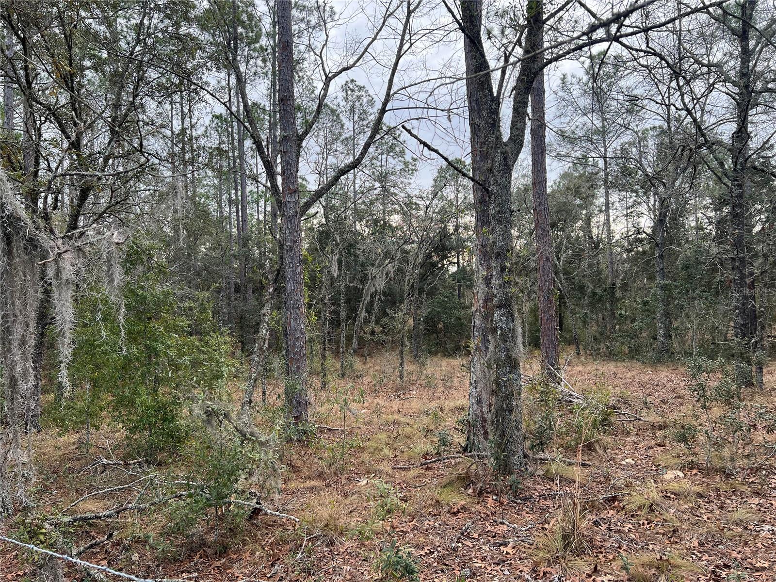 Listing photo id 67 for 20140 27th Street