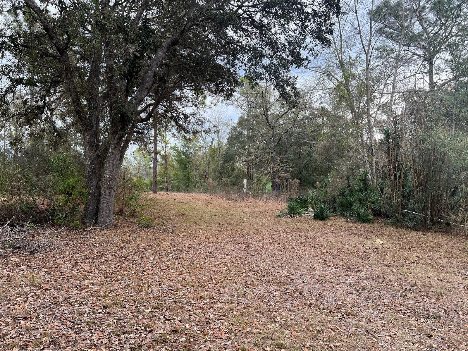 Listing photo id 5 for 20140 27th Street