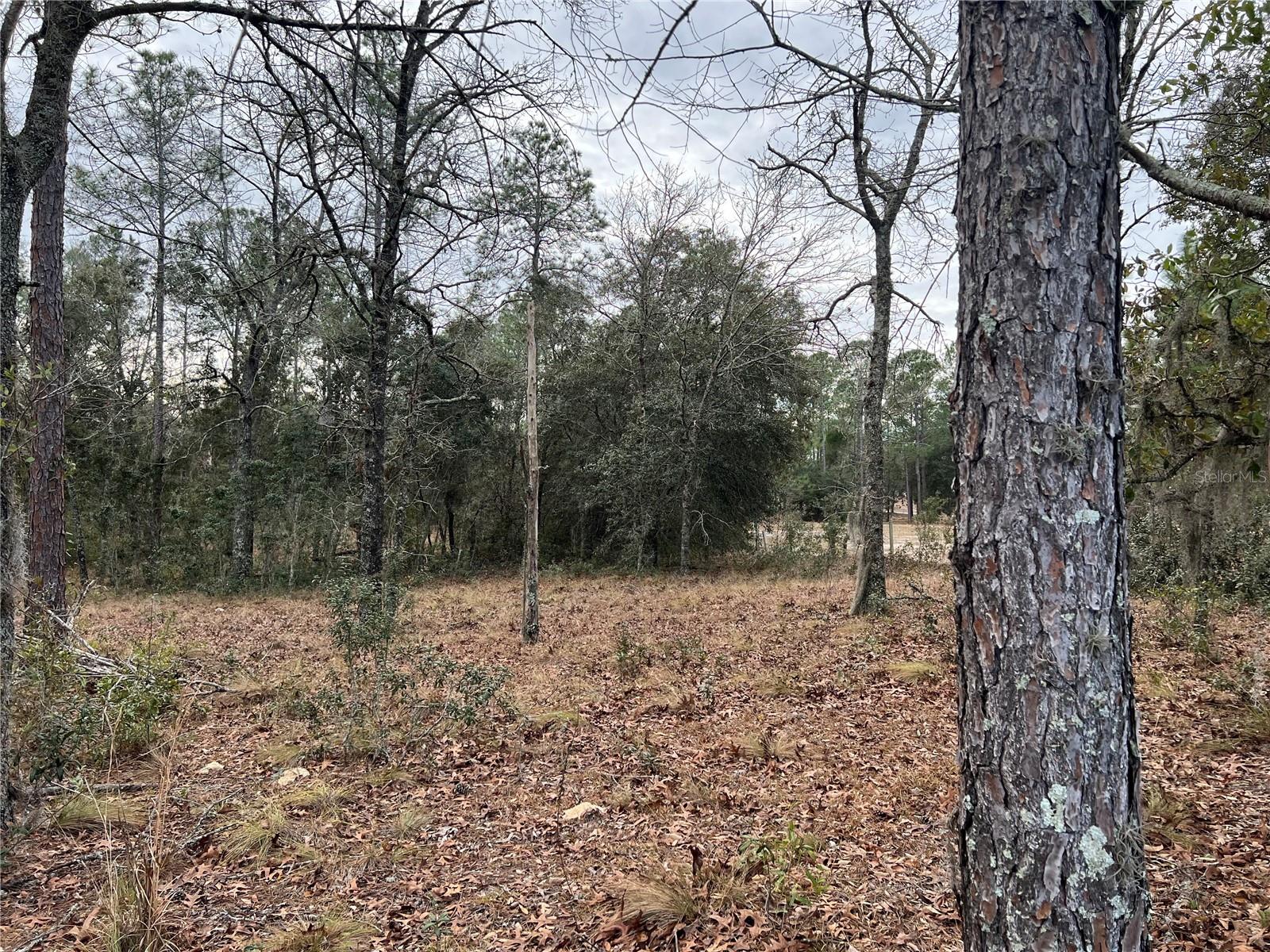 Listing photo id 68 for 20140 27th Street