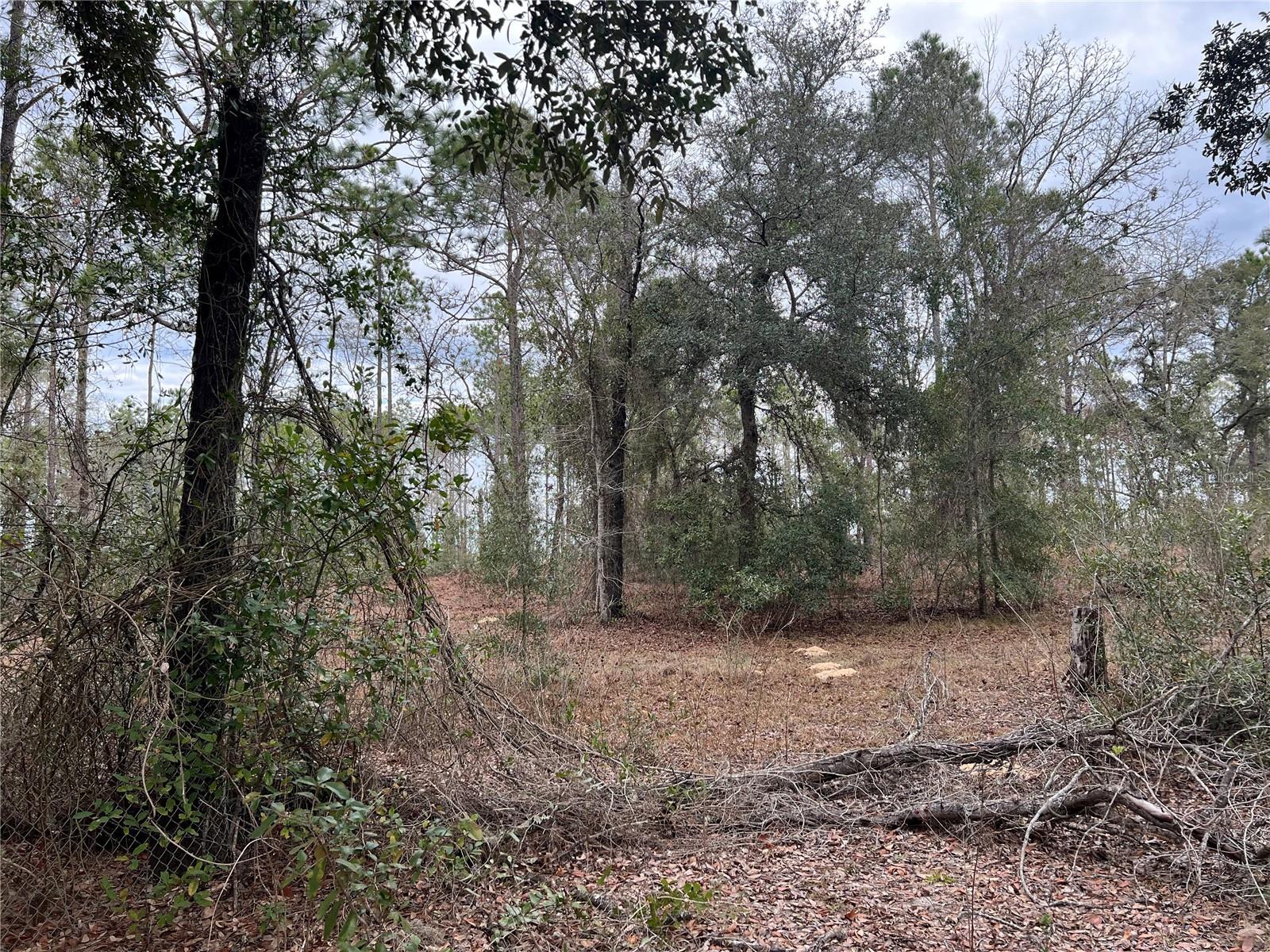 Listing photo id 6 for 20140 27th Street