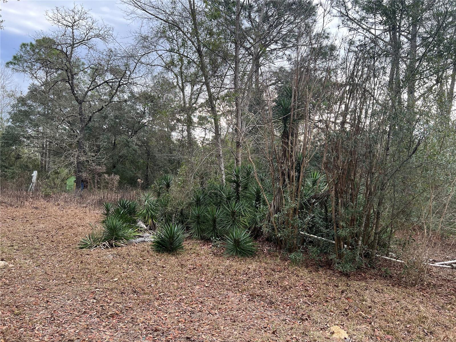 Listing photo id 7 for 20140 27th Street