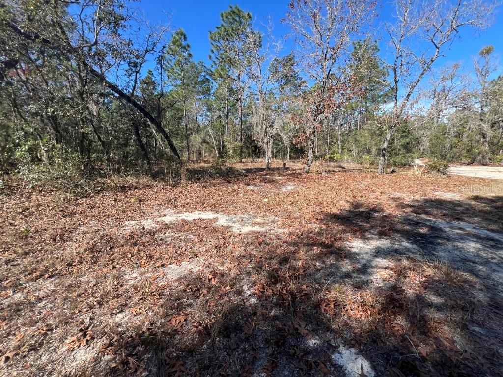 Image 18 of 24 For 556 County Road 219