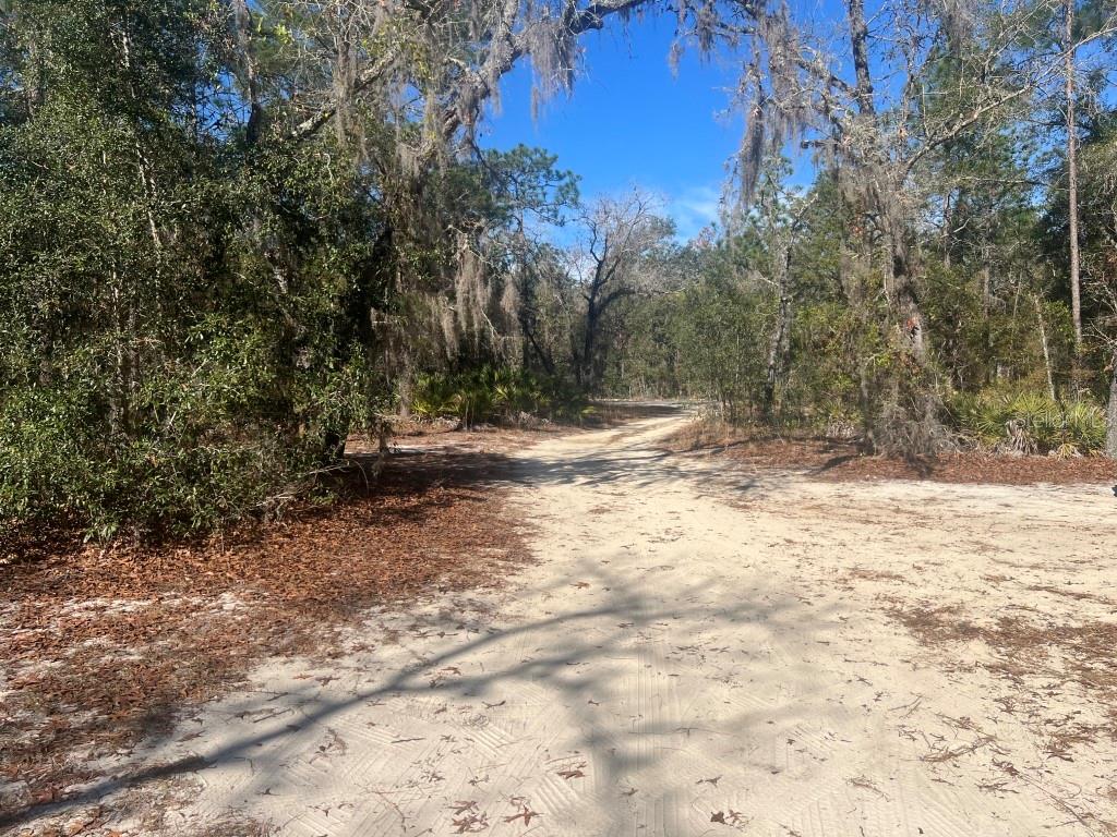 Image 20 of 24 For 556 County Road 219