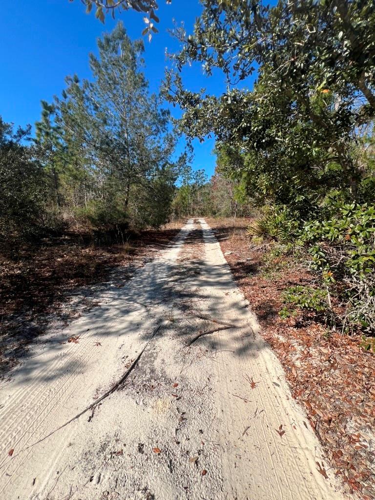 Image 21 of 24 For 556 County Road 219