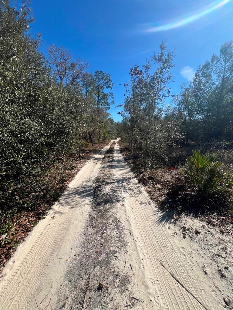 Image 22 of 24 For 556 County Road 219