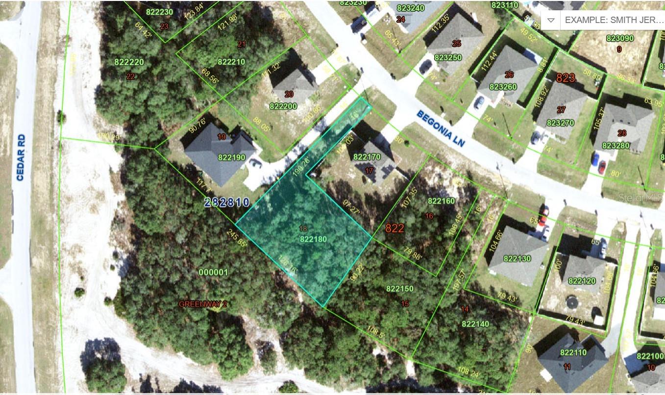 Details for 224 Begonia Lane, KISSIMMEE, FL 34759