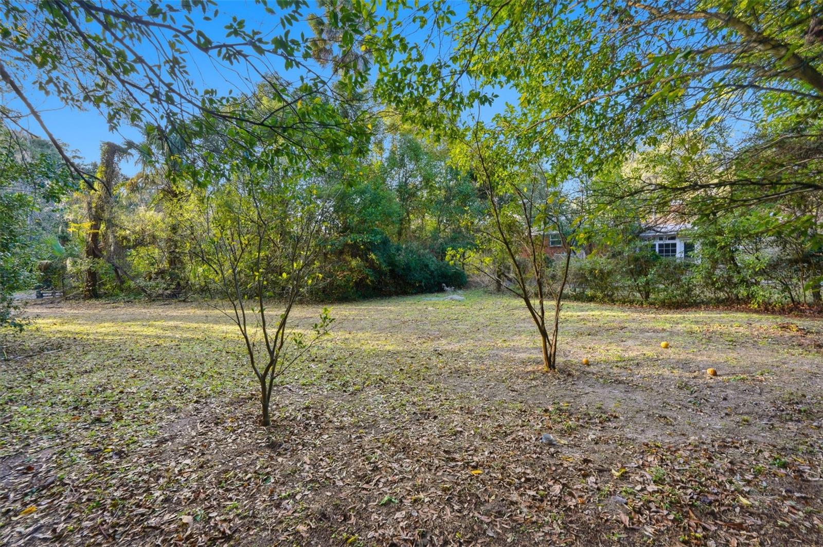 Image 40 of 42 For 1423 11th Road