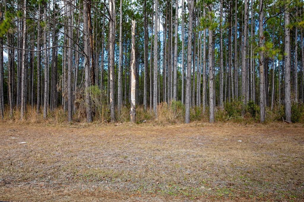 Image 32 of 37 For 2780 140th Terrace