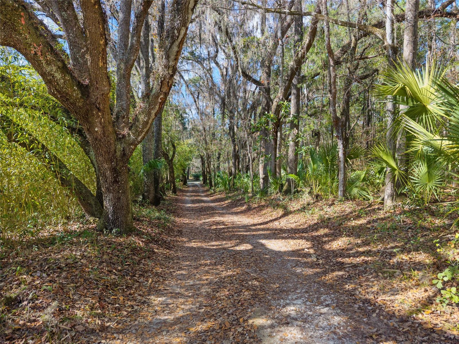 Image 7 of 88 For 21736 75th Avenue Road