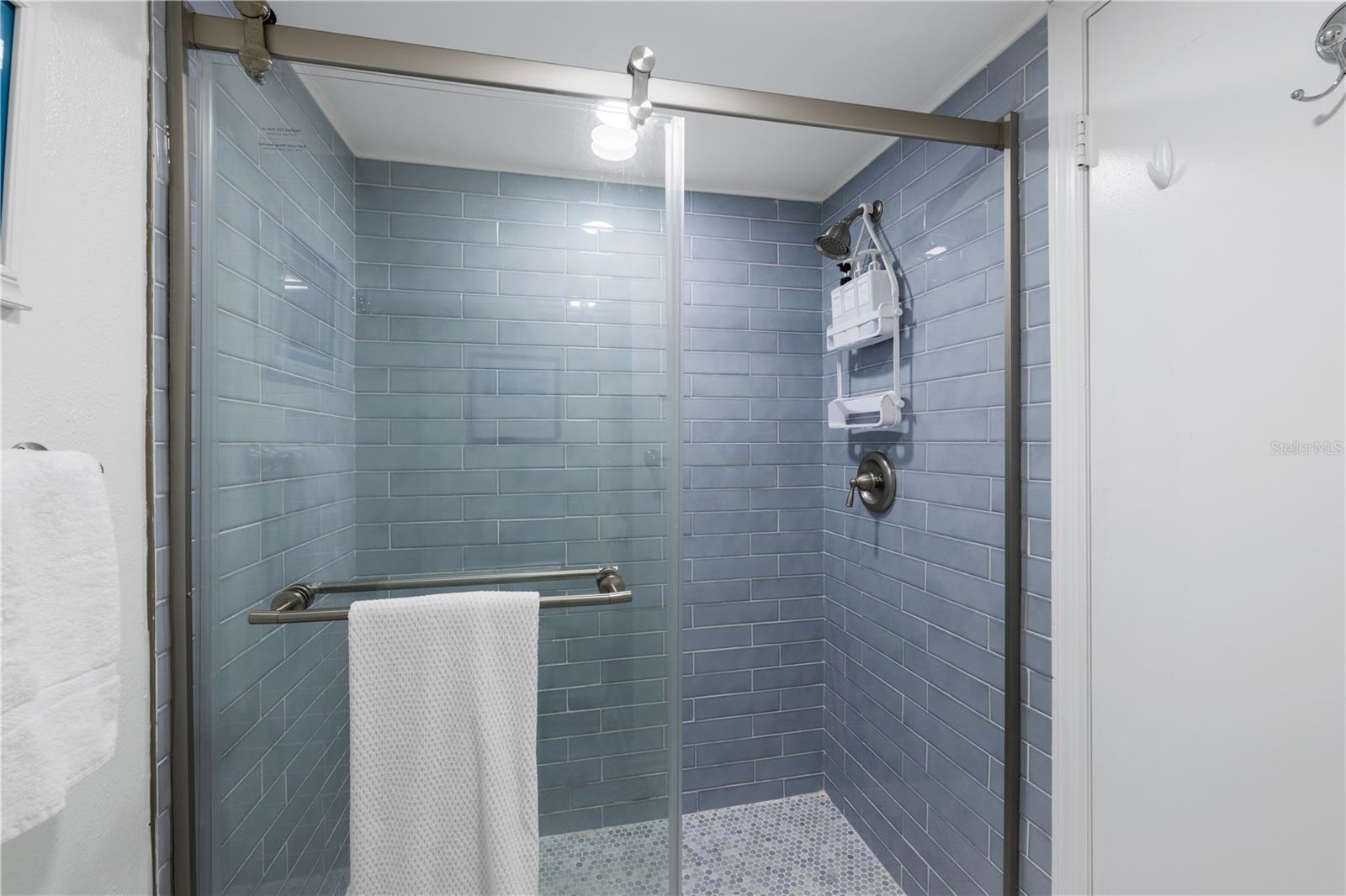 Image 13 of 41 For 205 Pacifica Vista Way 205