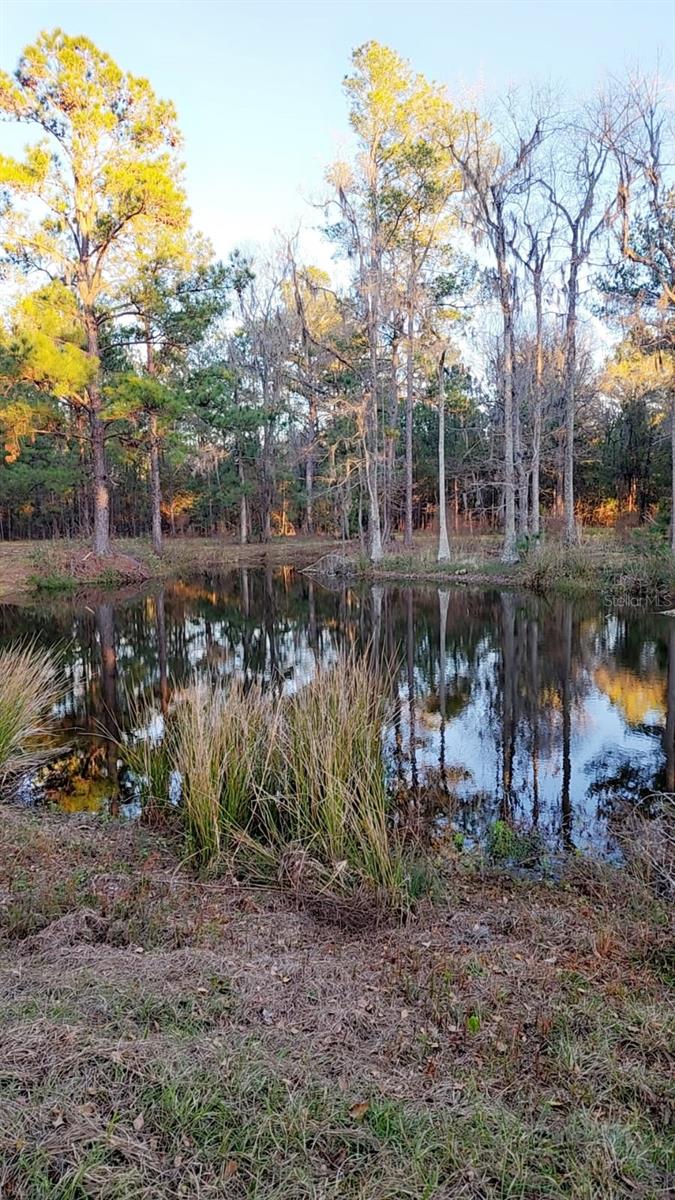 Image 2 of 4 For 19788 91st Street