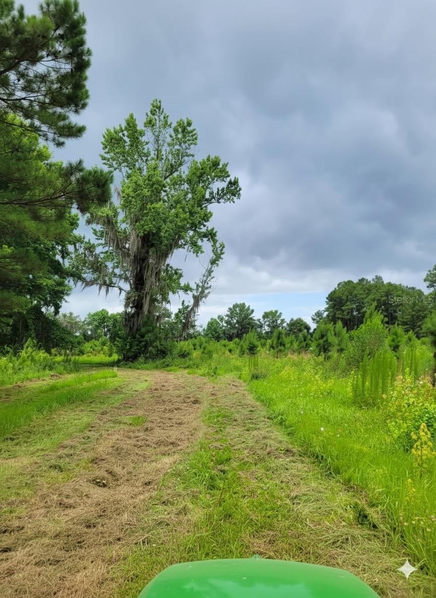 Image 3 of 4 For 19788 91st Street