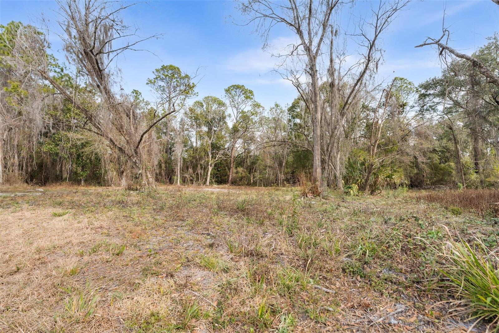 Image 3 of 17 For 905 Us Hwy 301