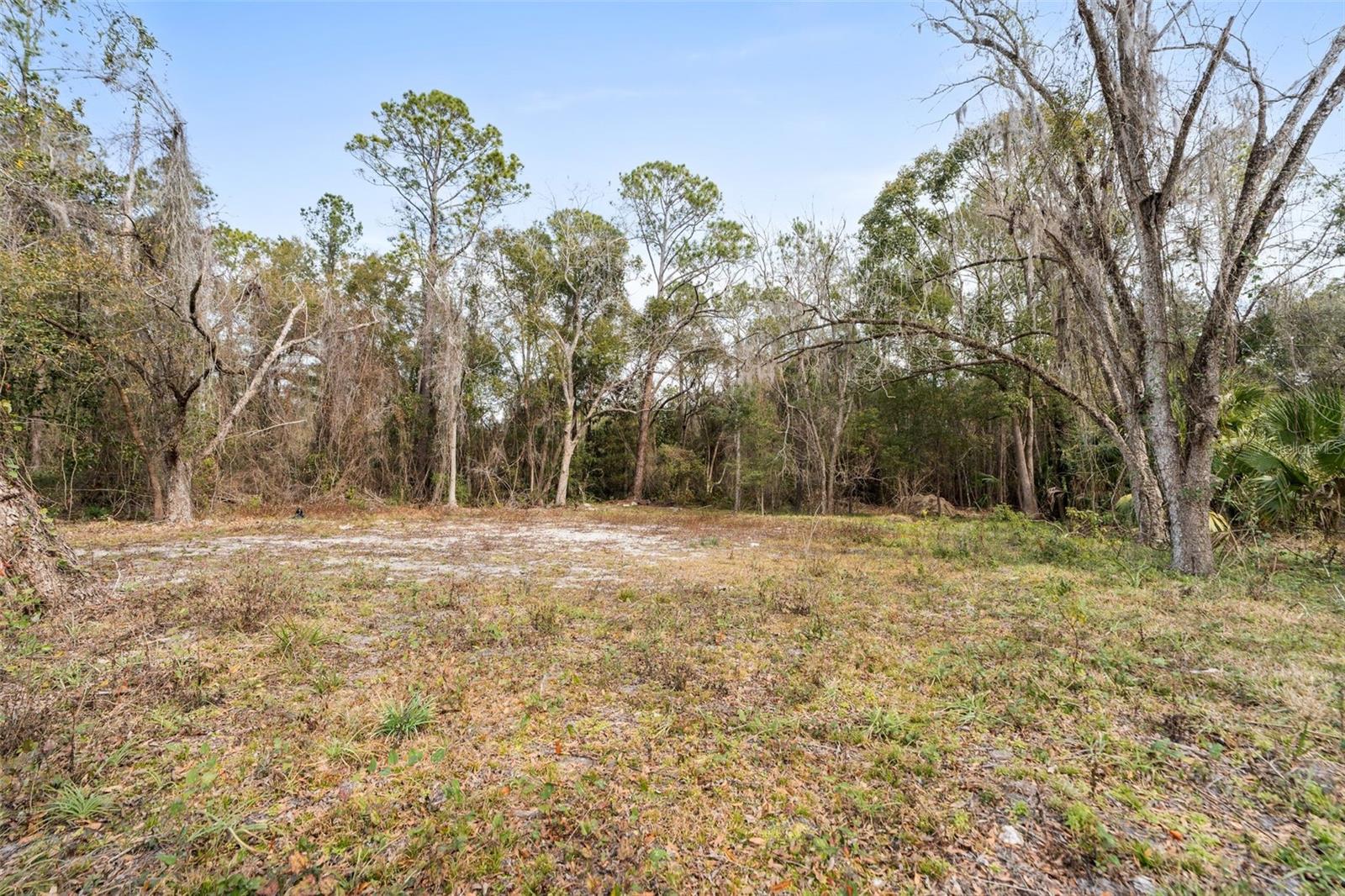 Image 4 of 17 For 905 Us Hwy 301