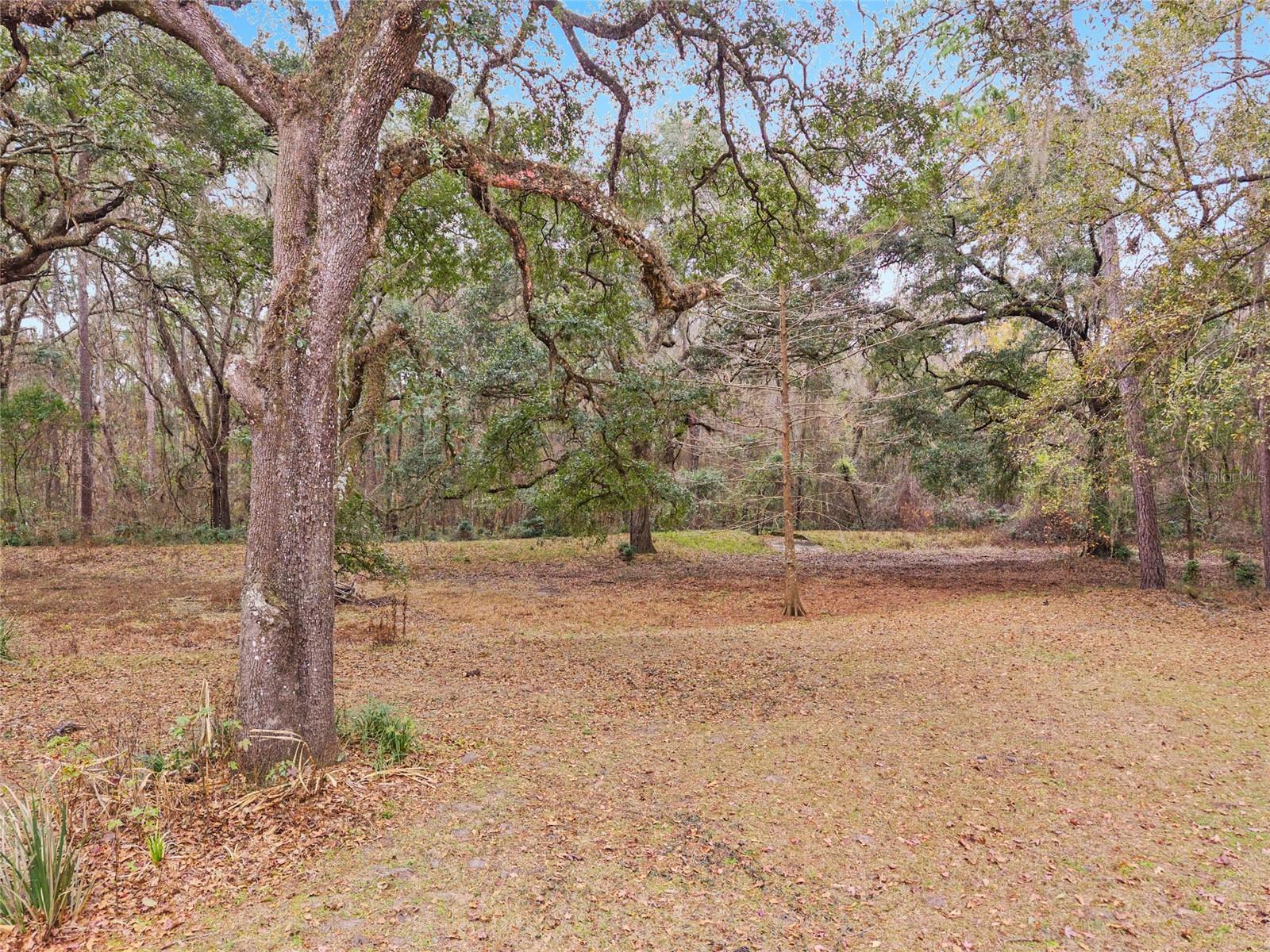 Image 77 of 88 For 11121 15th Place