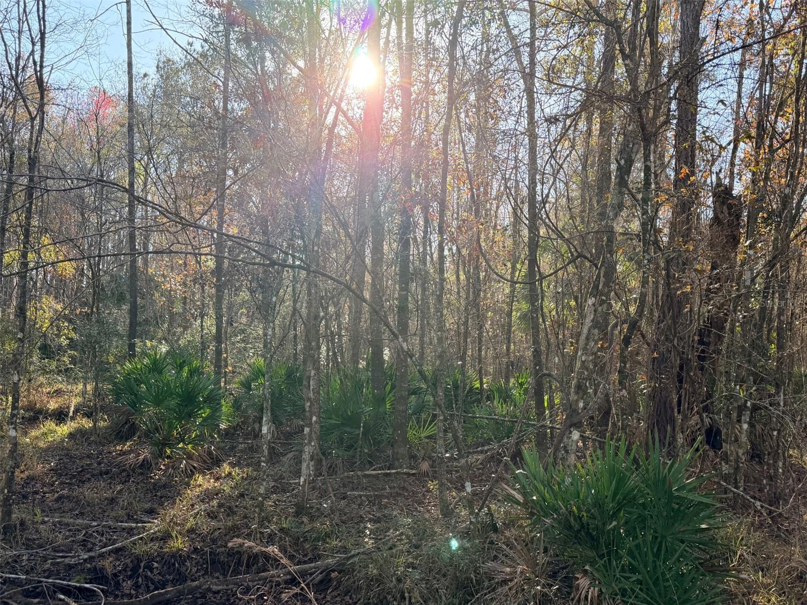 Image 19 of 19 For Off 10 Place